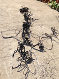 911 WIRING Harness Front, cuts, No fuse box, possible 1985 -